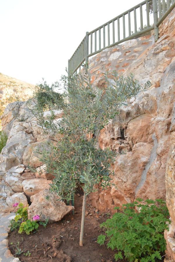 Delfinaki Boutique Apartments Lionas Beach ,Naxos 外观 照片